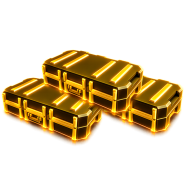 Skin Case #2 (x3)