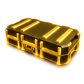 Skin Case 2