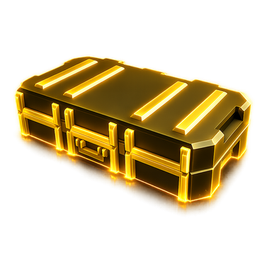 Skin Case 2